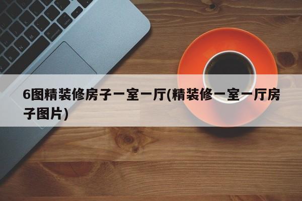 6图精装修房子一室一厅(精装修一室一厅房子图片)