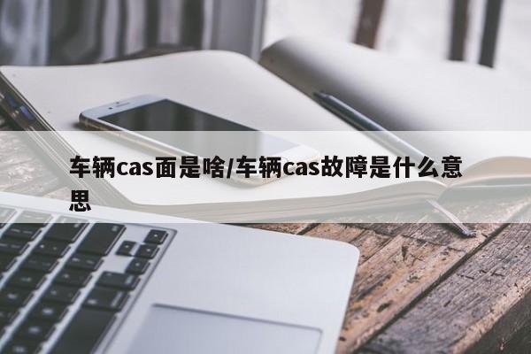 车辆cas面是啥/车辆cas故障是什么意思